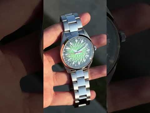 Reloj para Hombre BERNY 2954
